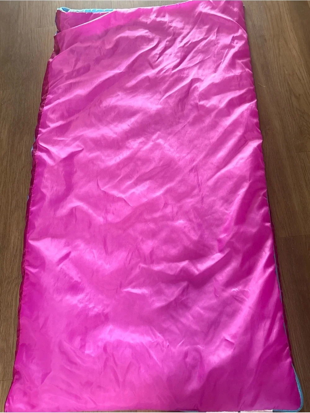 Disney Frozen Pink Blue Heart Toddler Sleeping Bag